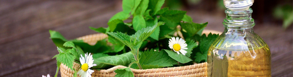 heilpraktikerversicherung-heilmethode-gesundheit-krank-naturheilverfahren-vorsorge-header